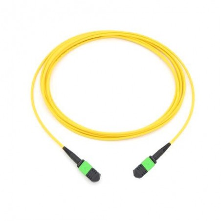 Singlemode OS2 MPO 12 Leder kabel TYPE B