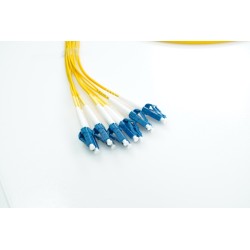 XCore 12 leder (6 par) fiber patchkabel OS2, LC/UPC