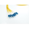 XCore 12 leder (6 par) fiber patchkabel OS2, LC/UPC