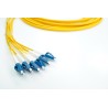 XCore 12 leder (6 par) fiber patchkabel OS2, LC/UPC
