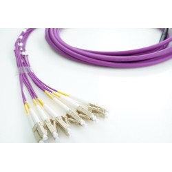 XCore 12 leder (6 par) fiber patchkabel OM4, LC/UPC