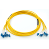 XCore 12 leder (6 par) fiber patchkabel OS2, LC/UPC