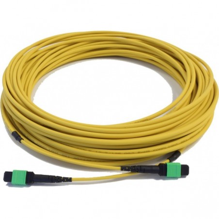 Singlemode OS2 MPO-MPO 12 leder Kabel Type A